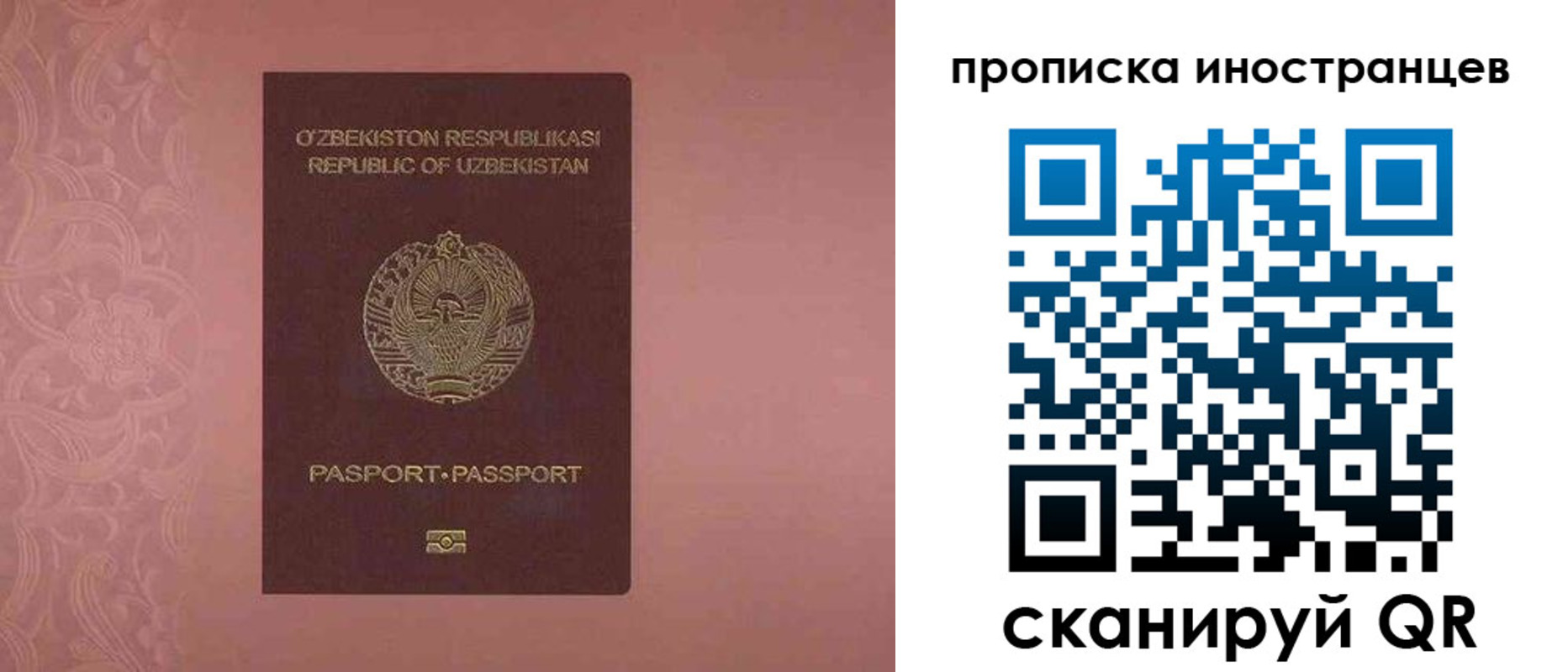 регистрация для школы в Мытищах