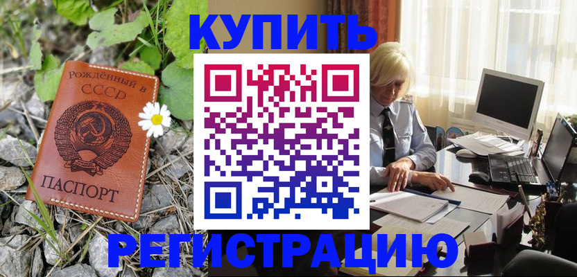 временная регистрация недорого в Мытищах
